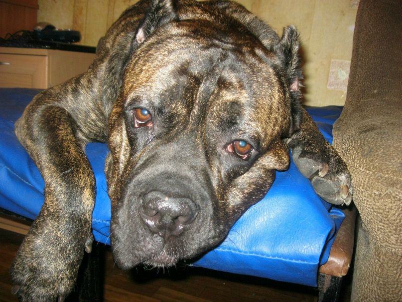 Sergey M. | Санкт-Петербург