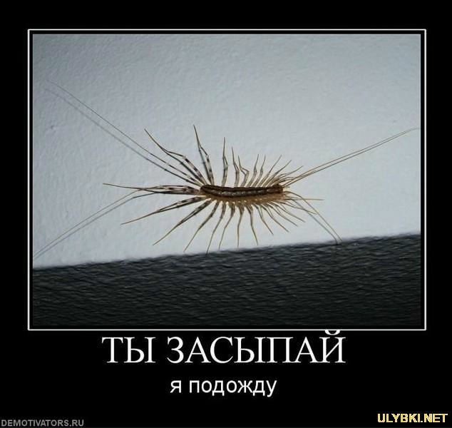 №8, Павел Сафаров, 36 лет, Киев №8, Павел Сафаров, 36 лет, Киев