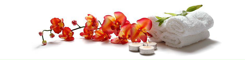 Елена Кочеткова | Москва