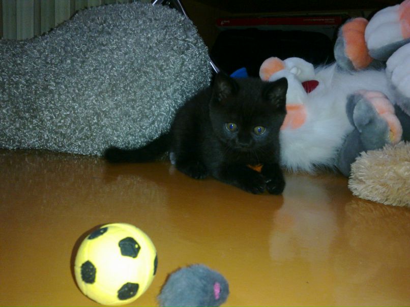 Nelka Lutfullina | Уфа