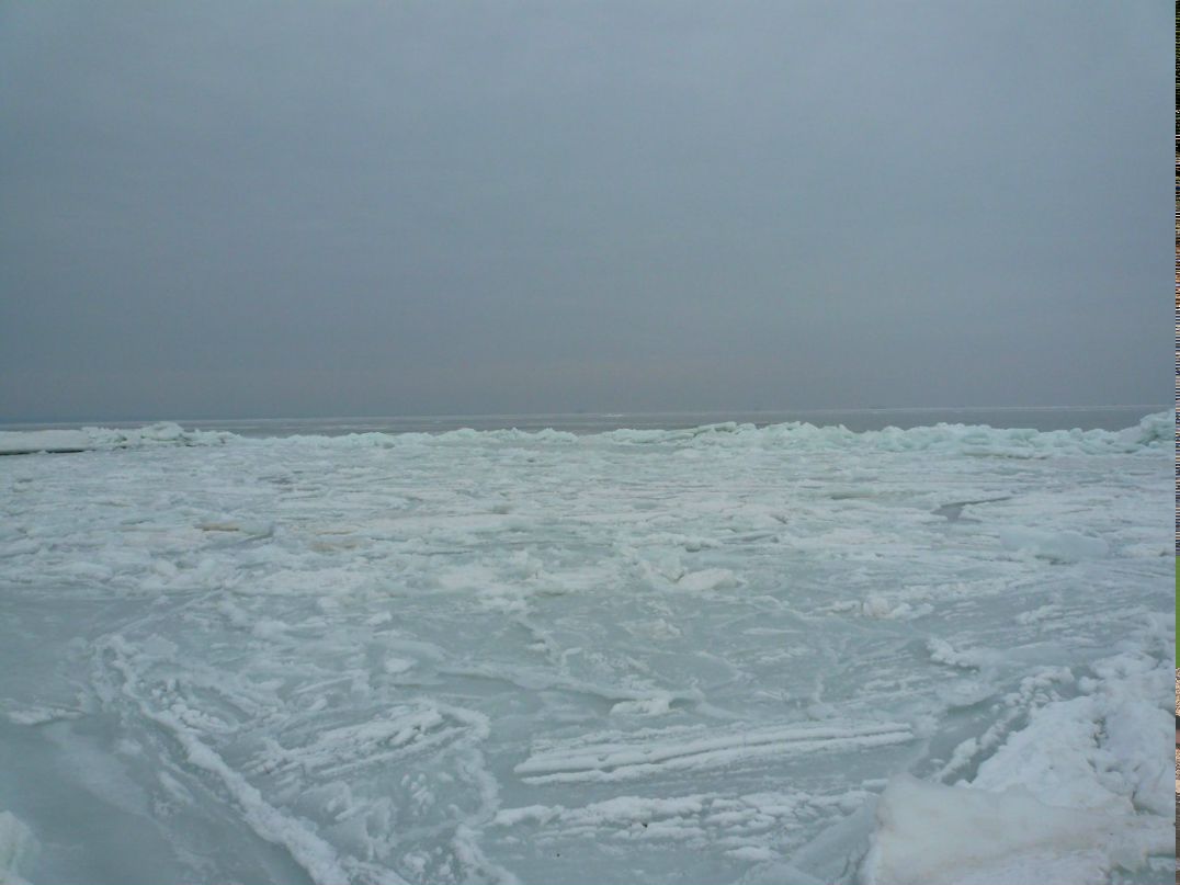 Aleksander Krestelev KresteleFF | Одесса