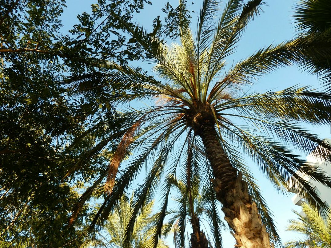 Елена Данина | Самара