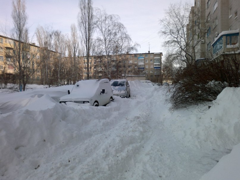 Евгений Ситников | Камышин