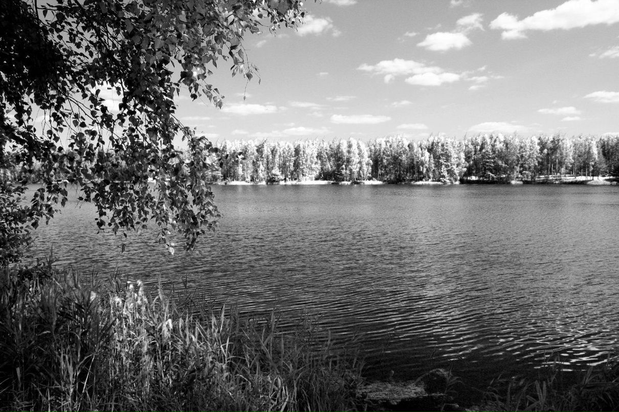 Макс Лукашов People | Москва