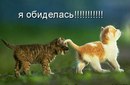 Фотография Вика Роговец