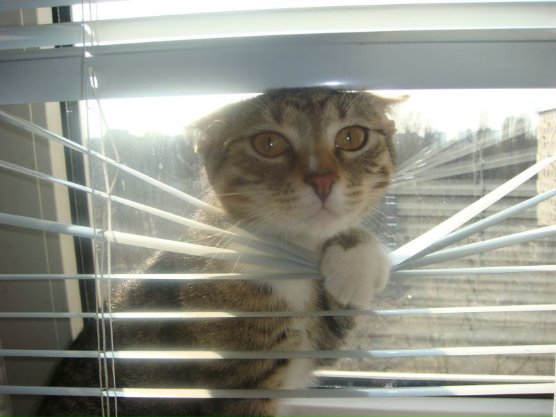 Анна Пасечник *~НЮТ@~* | 