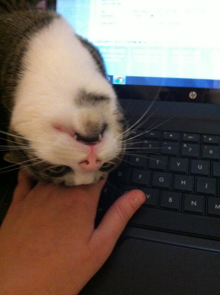 Катерина Малкина | Санкт-Петербург