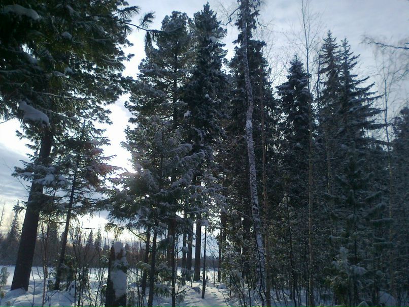 Светлана Ханипова | Шугурово