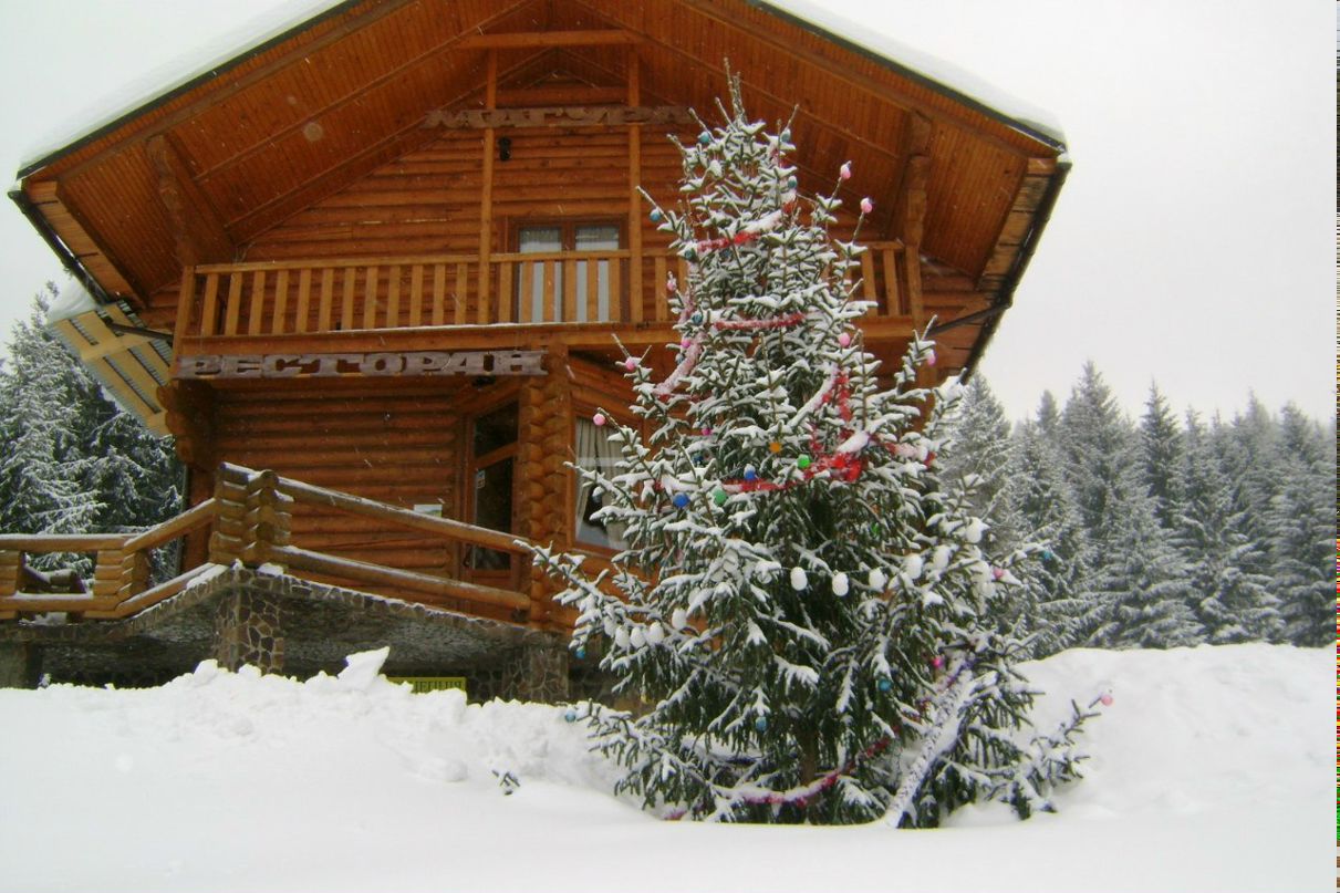 Алла Ковбаса | Чернигов