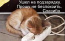 Фотография Дима Цынин