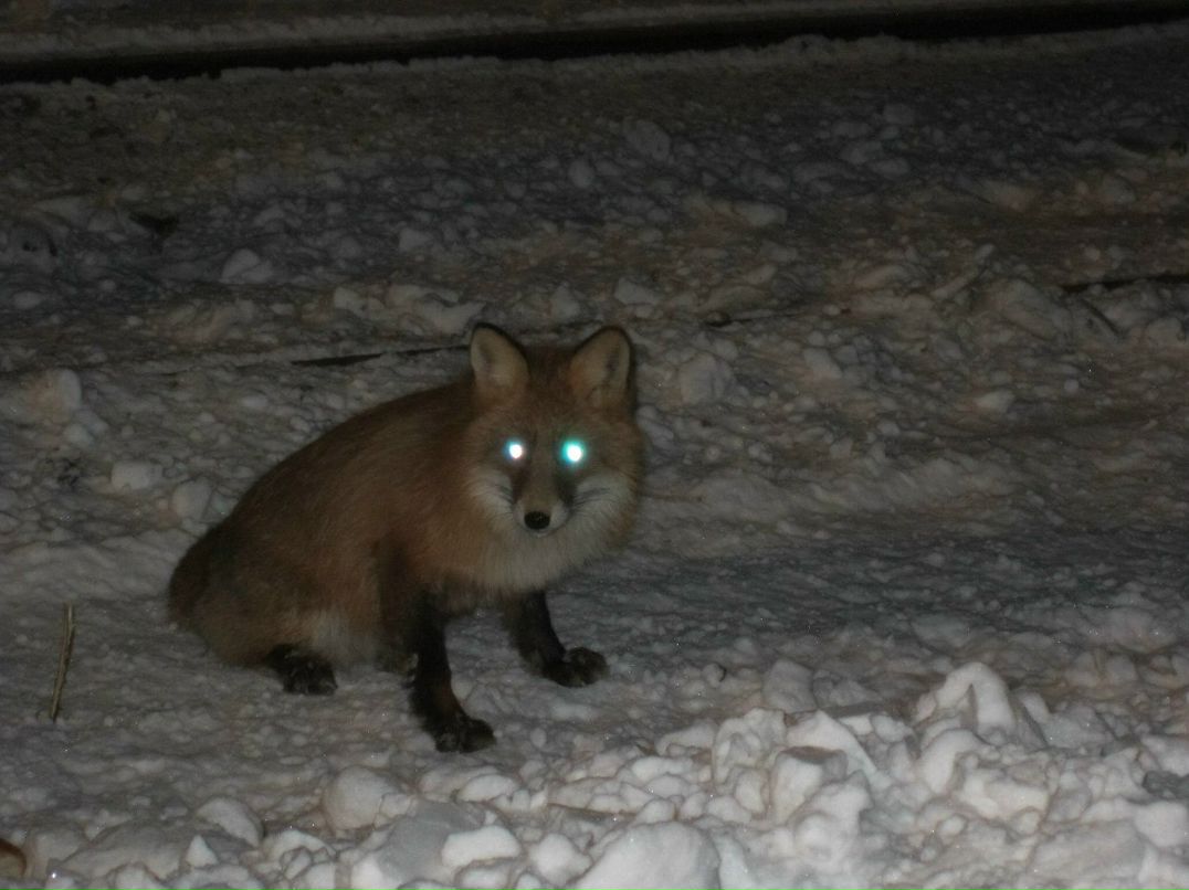 Игорь Лосев | Апатиты