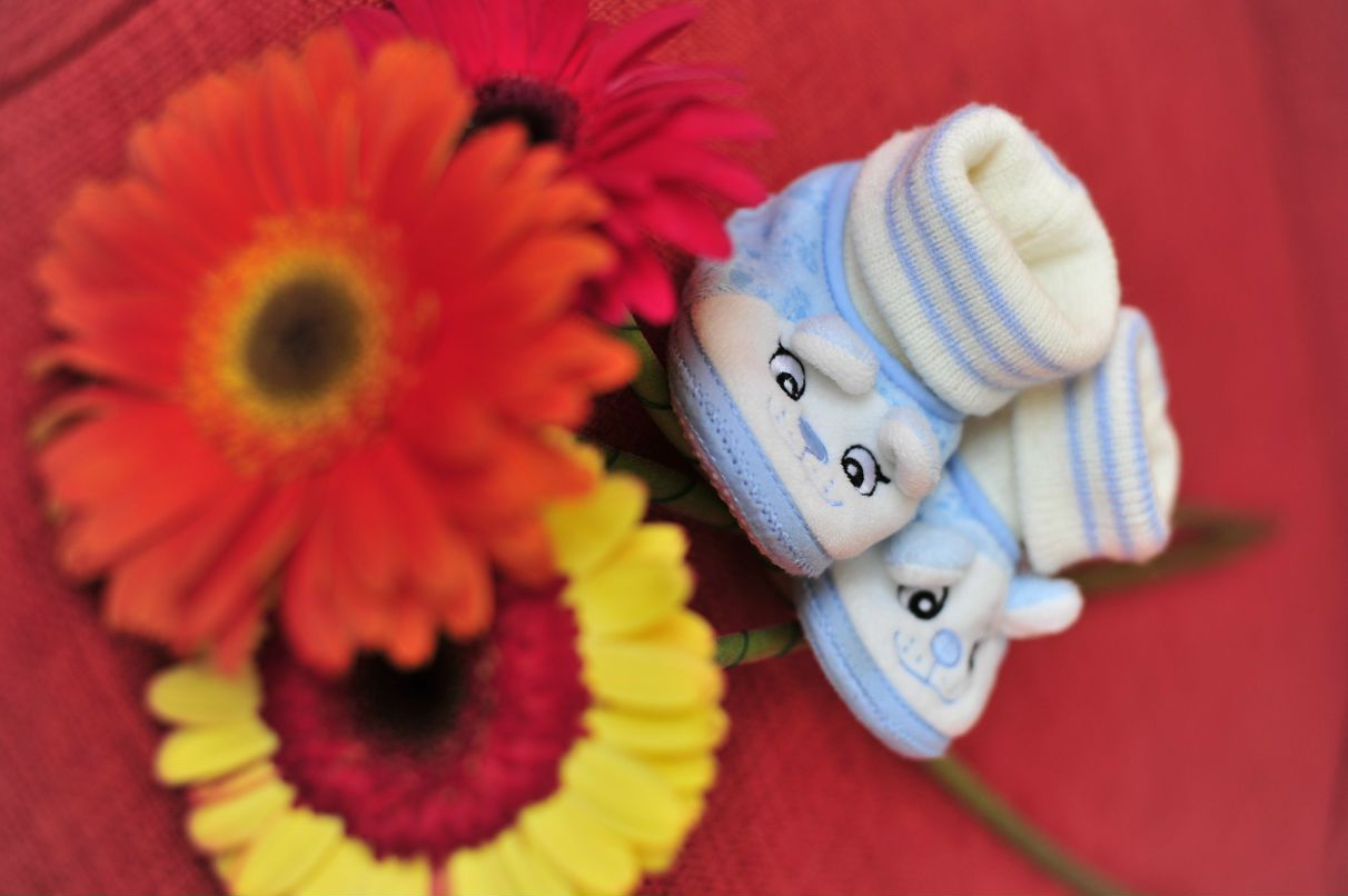 Светлана Пырикова | Новосибирск