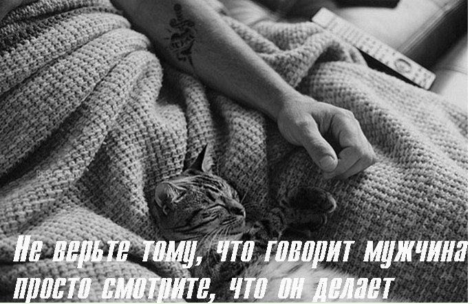 №8, Лариса Зенкова №8, Лариса Зенкова