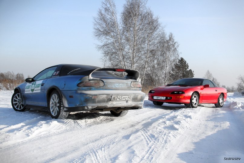 Александра Шамшурина | Новосибирск
