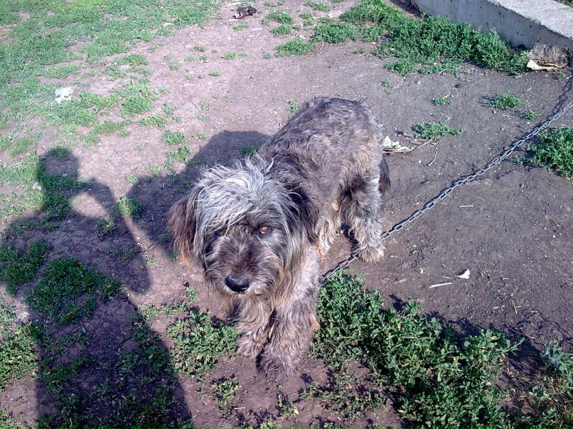 Наиль Мавлютов | Уфа