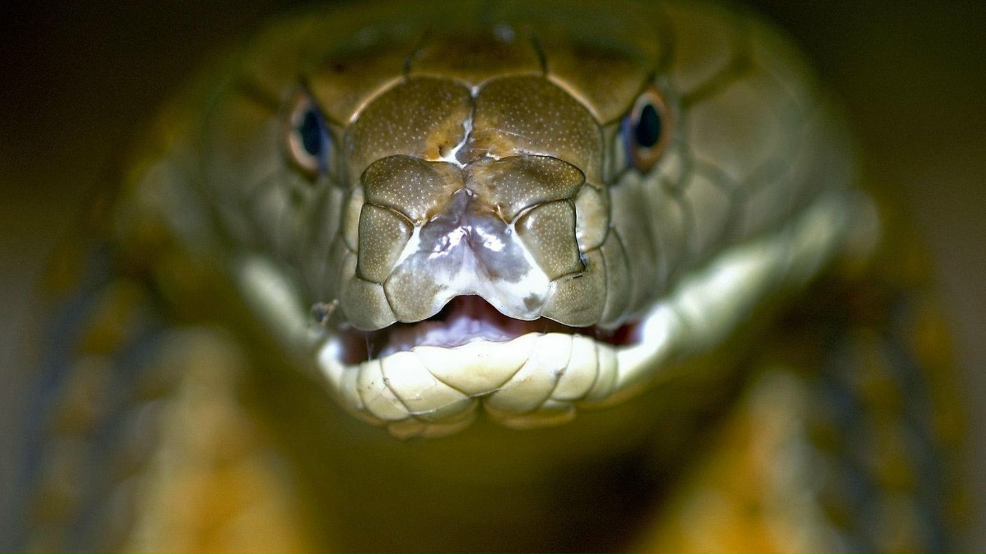 Сергей Уваров | Дубна