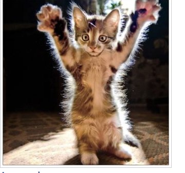 Natalia Kolyakanova | Москва