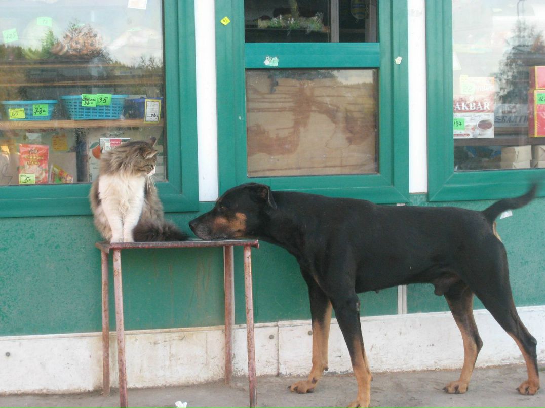Людмила Вячеславова | Ухта