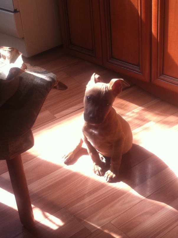 Dasha Merkamedbayeva ♡ | Алматы