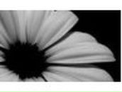 Валерия Демьяненко | Dublin