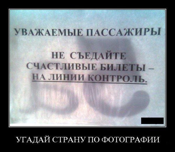 Светлана Брезгина | Тосно