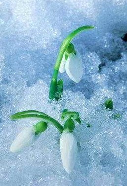 Евгения Шевченко | Москва