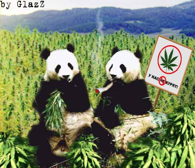 Андрей Войнаровский Сергеевич | Гальжбеевка