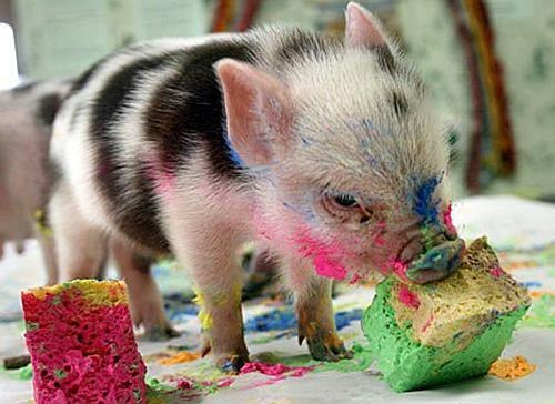 Анна Емельянова | Москва