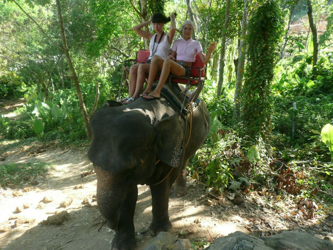 Светлана Балашова | Дмитров