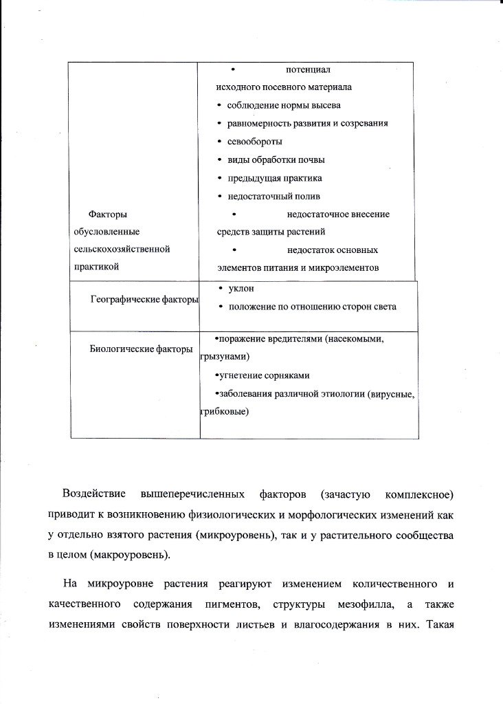 Антон Фиц C@RMeLo | Кривой Рог