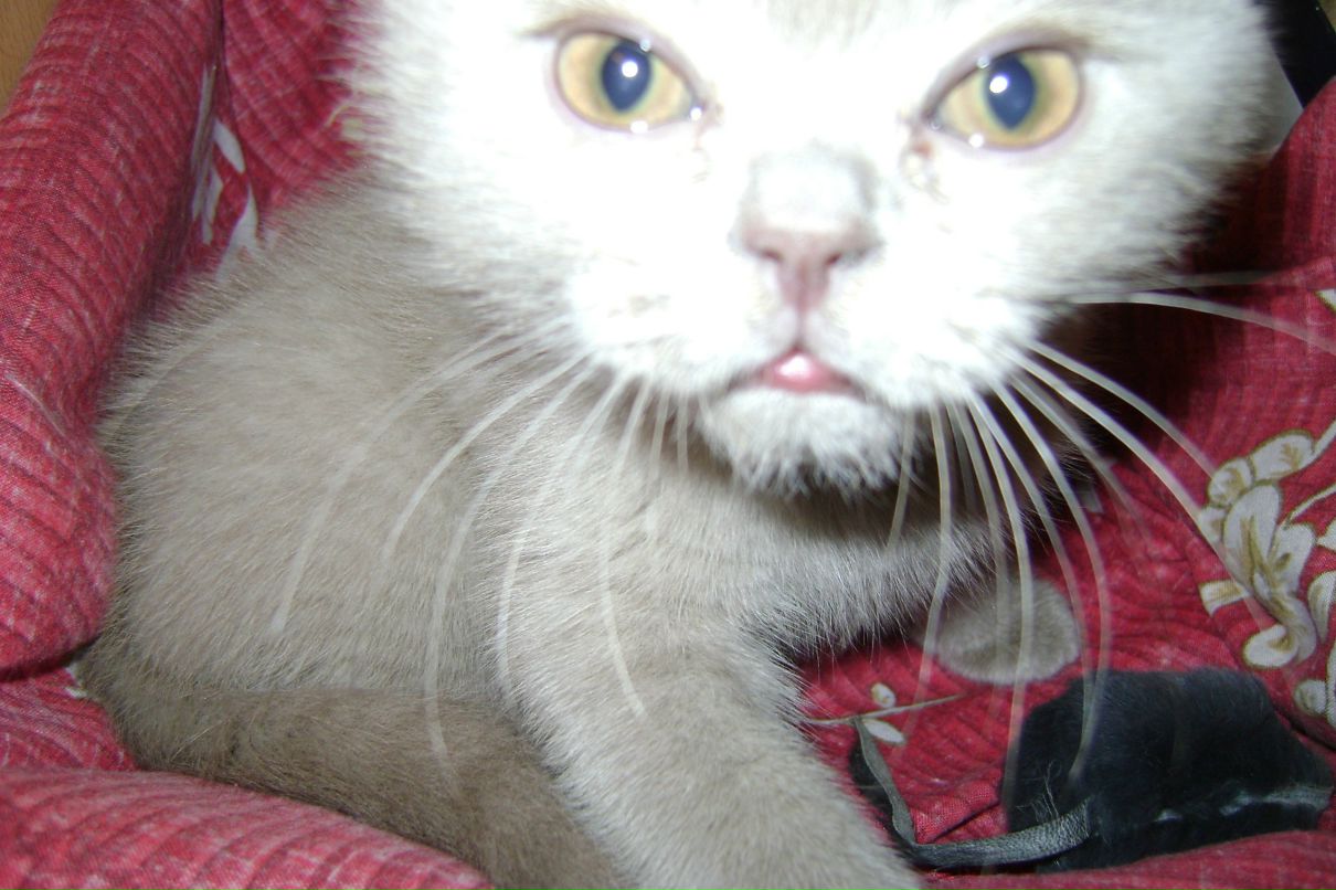 Иришка Юхлина | Новосибирск