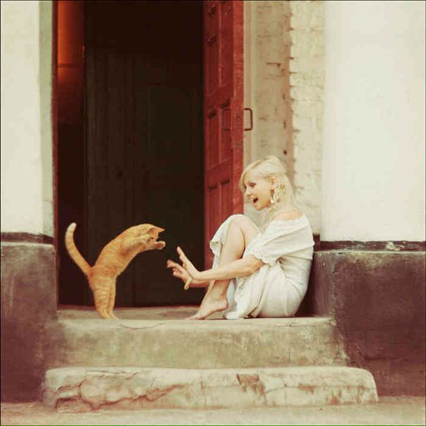 №87, Ростислав Дымерец, Киев №87, Ростислав Дымерец, Киев