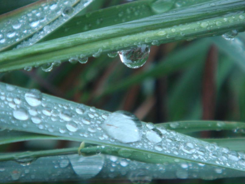 №10, Олег Горелов, 65 лет, Чебоксары №10, Олег Горелов, 65 лет, Чебоксары