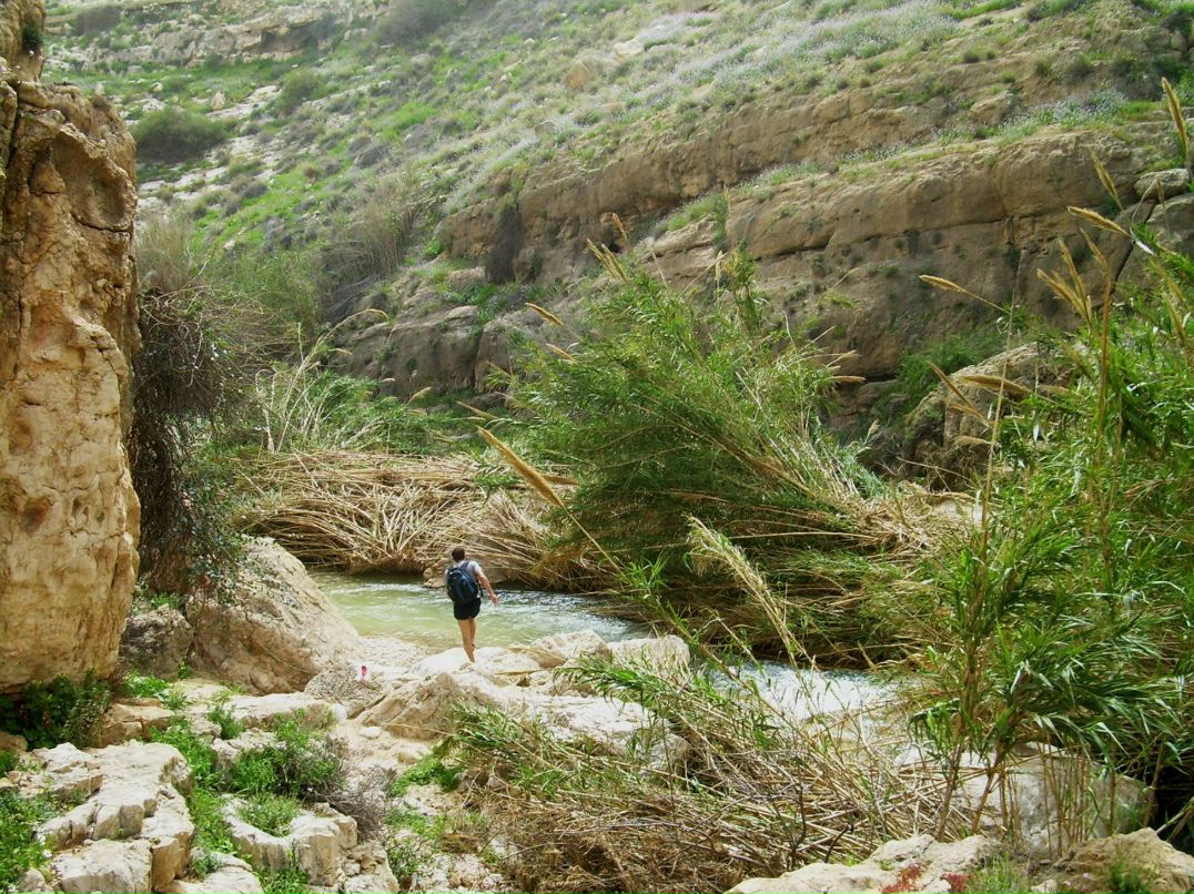Валентина Вася | Иерусалим