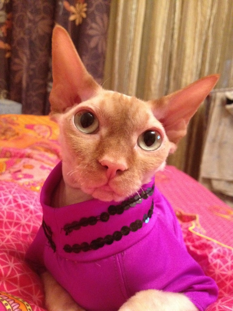 Андрей Стальмаков | Москва