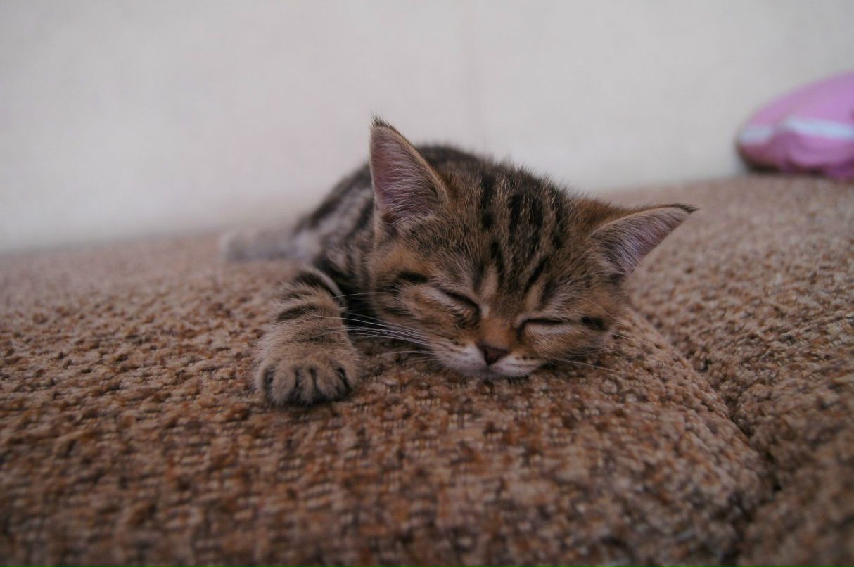 Людочек Зиннатуллина ღ♥ღ♥ღ♥ღ♥ღ | Муравленко