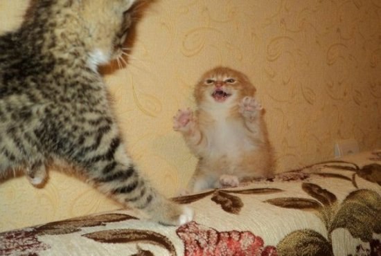 Диман Нартаев | Кириши