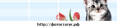 №60, Алёна Снитко, 41 год, Смоленск №60, Алёна Снитко, 41 год, Смоленск