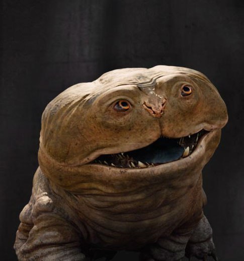 Максим Бученков | Санкт-Петербург