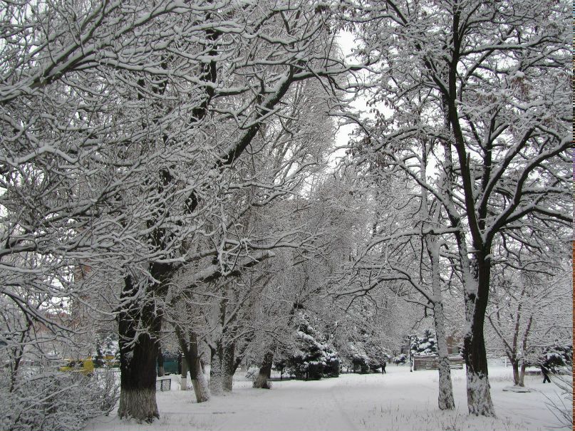 Саша Григорьев | Славянск