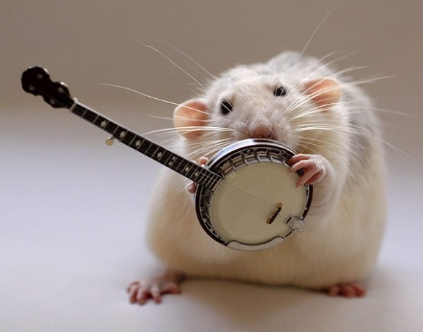 Сергей Мавров | Николаев