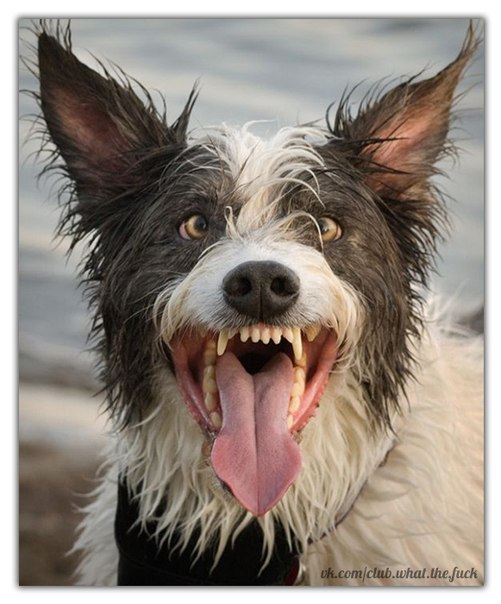 Сергей Шушук | Красноярск