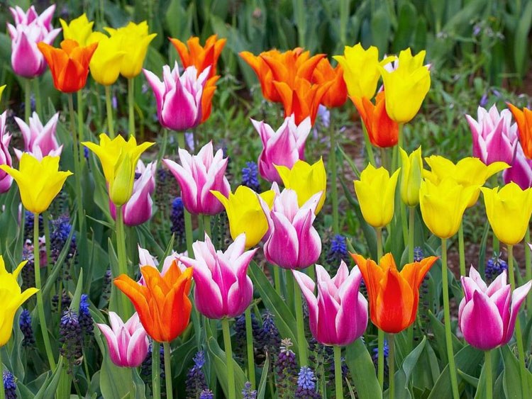 Елена Бондаренко | Ростов-на-Дону