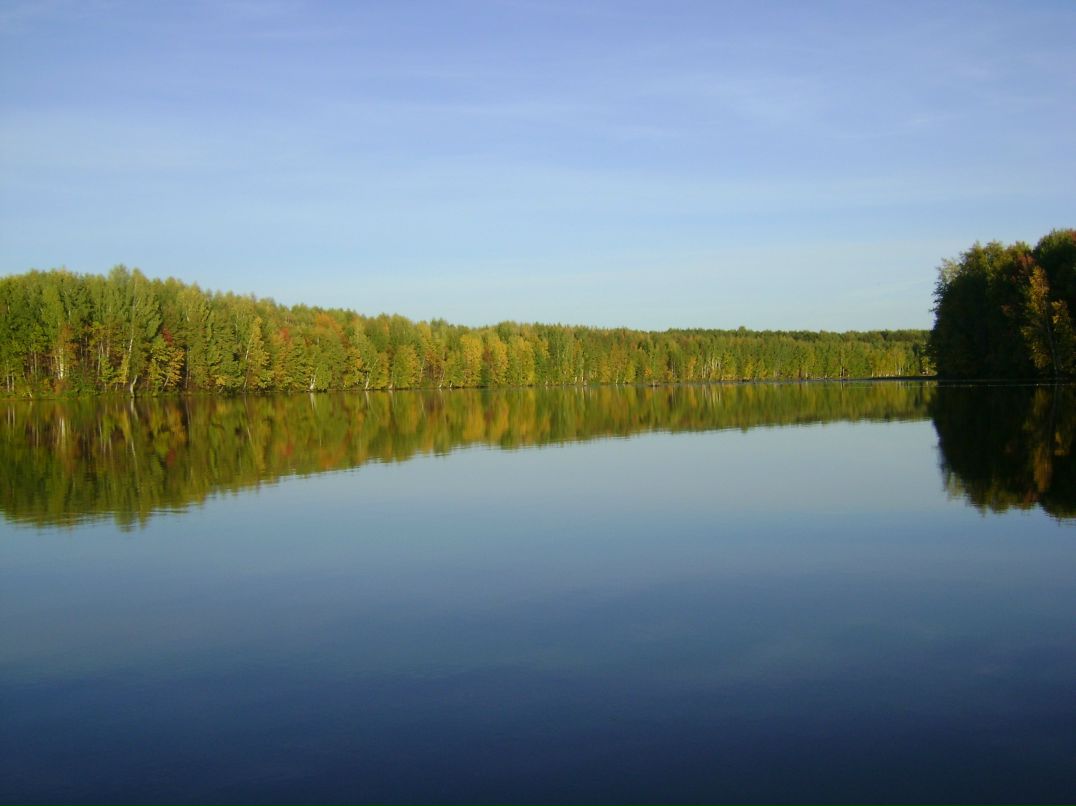 Дмитрий Волков | Йошкар-Ола