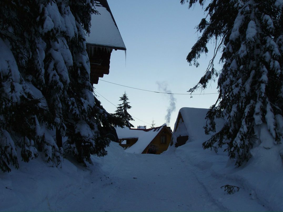 Людмила Щасная | Севастополь