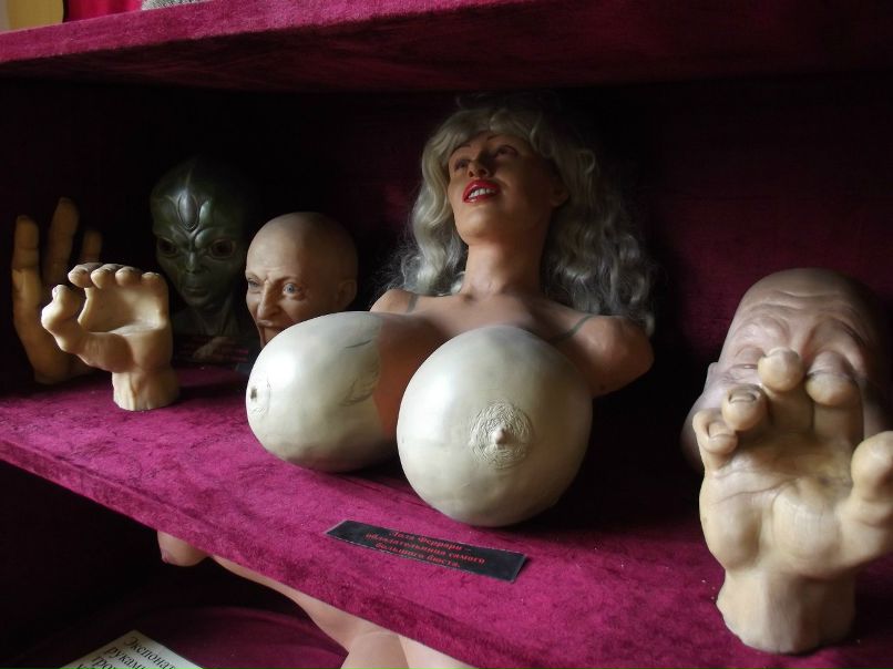 Светлана Поварова | Петрозаводск