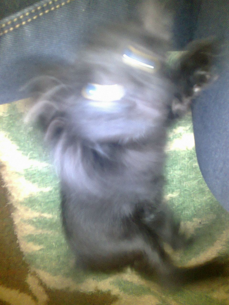 Павел Бодня | Днепр (Днепропетровск)