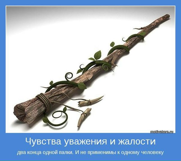 №29, Ваадос Беднарский, 35 лет, Москва №29, Ваадос Беднарский, 35 лет, Москва