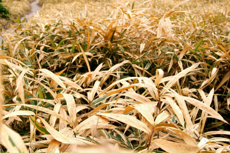 Тимофей Волоцкий | Санкт-Петербург