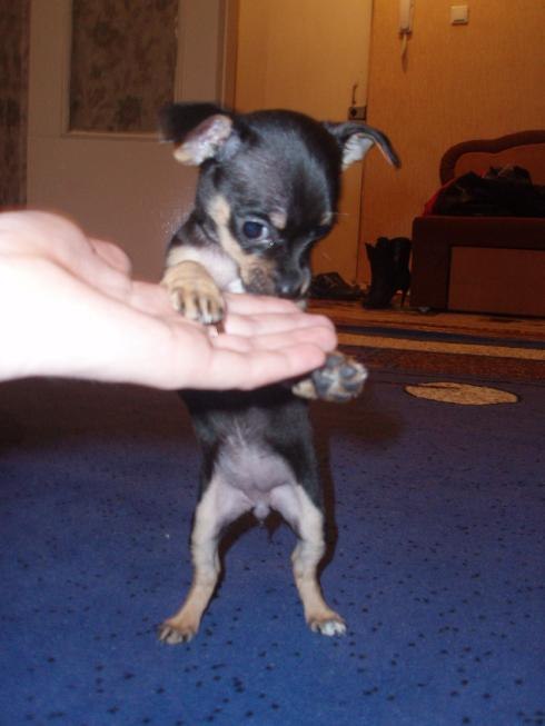 Наталья Демидова | Тюмень